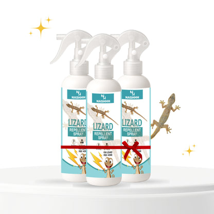 Nashhh Lizard Pack of 3