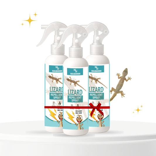 Nashhh Lizard Pack of 3