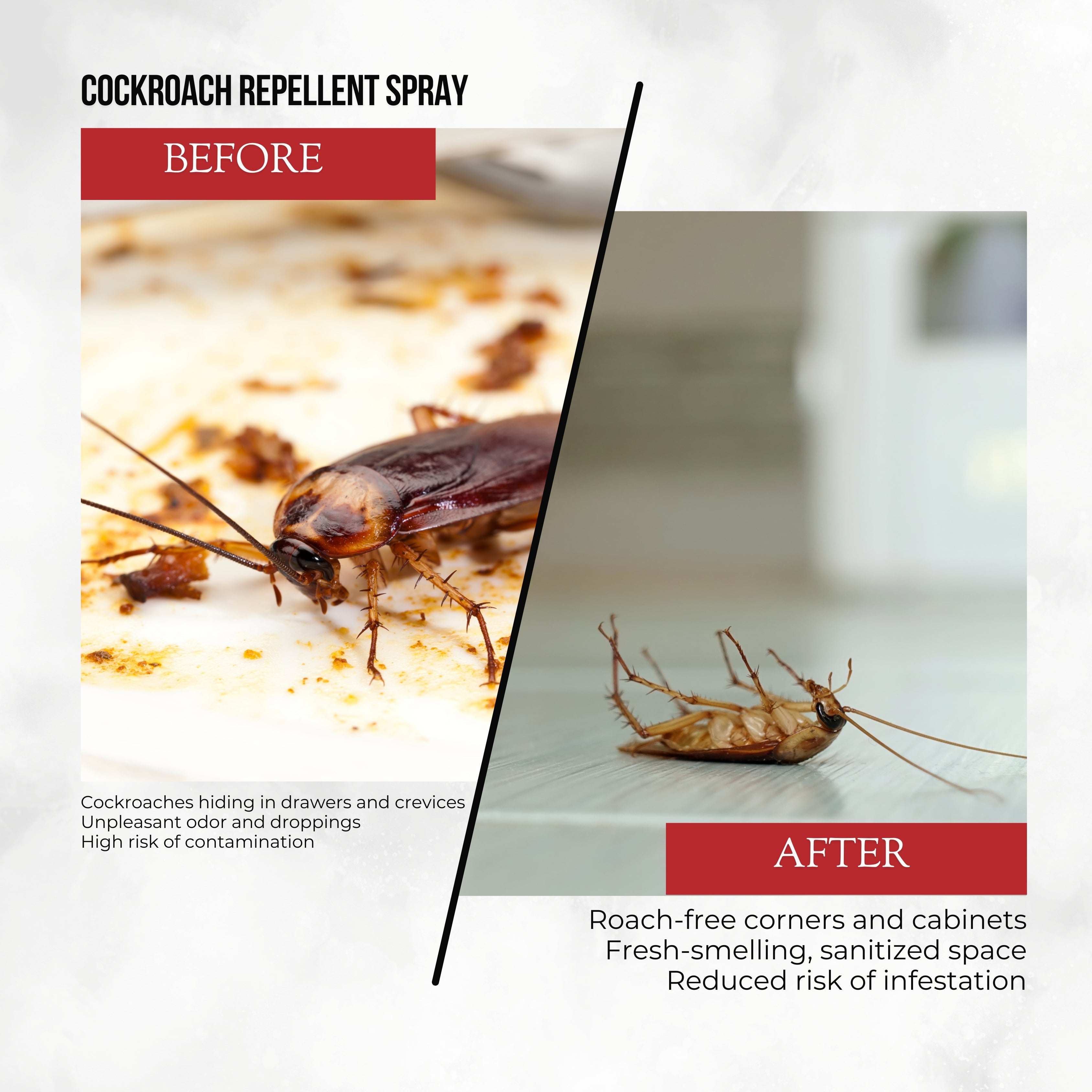 Nashhh Cockroach Spray